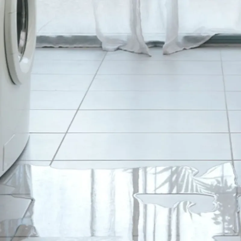 Appliance Leak Cleanup in Rapid City, MI