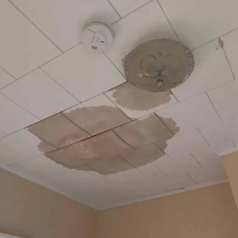 Ceiling Water Damage Repair in Rapid City, MI
