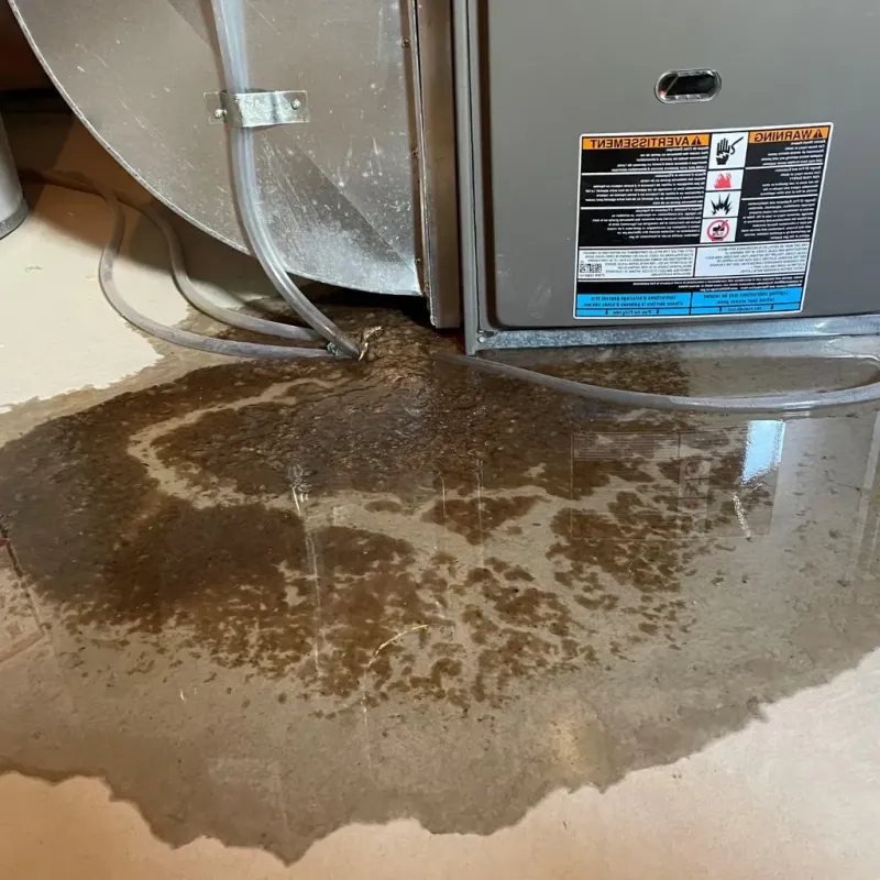 Pipe Burst and Leak Restoration in Rapid City, MI