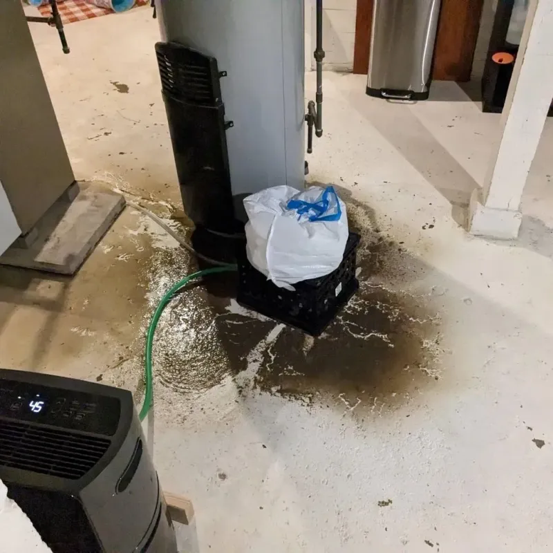 Sewage Backup Cleanup Service in Rapid City, MI